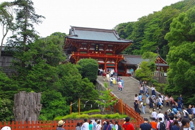 Kamakura Bamboo Forest and Great Buddha Private Tour - Private Tour Highlights