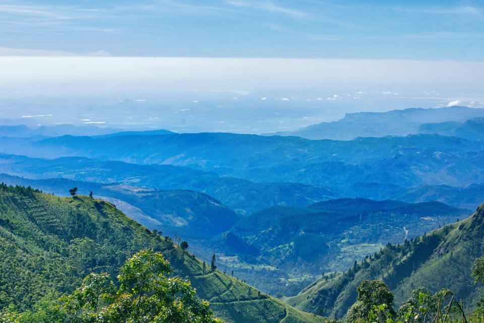 Kandy, Pinnawala Day Trip From Bentota, Kalutara Beach - Last Words