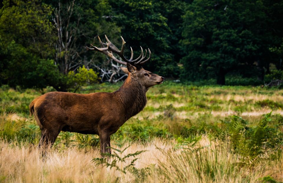 Kathmandu: 3-Day Bardiya Jungle Safari Tour by Flight - Flight Information