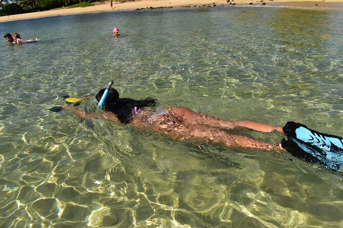 Kauai Snorkeling Adventure - Last Words