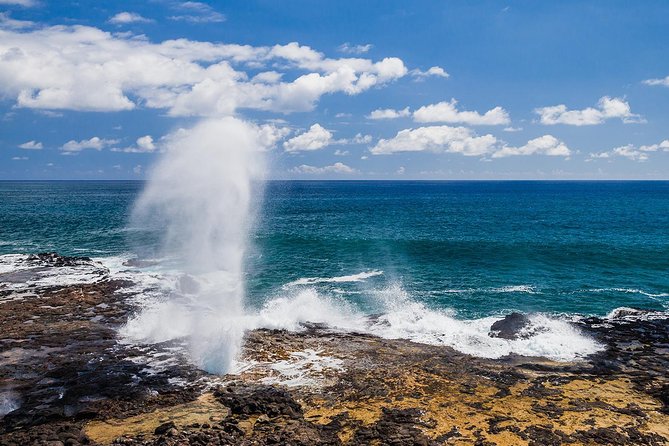 Kauais South & East Small Group Tour. Legends & Waterfalls - Common questions