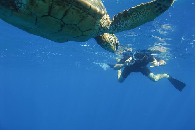 Kauais Ultimate South Island Zodiac Boat Snorkel Adventure - Last Words