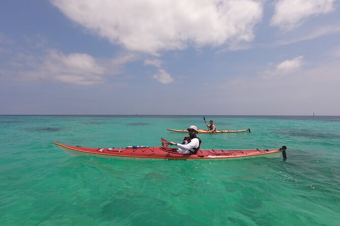 Kayak & Snorkel: Private Tour in Yanbaru, North Okinawa - Last Words