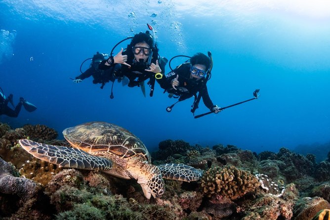 Kenting Taiwan Diving-PADI International Diving License Open Water Chinese Course for Beginner Diver - Customer Testimonials