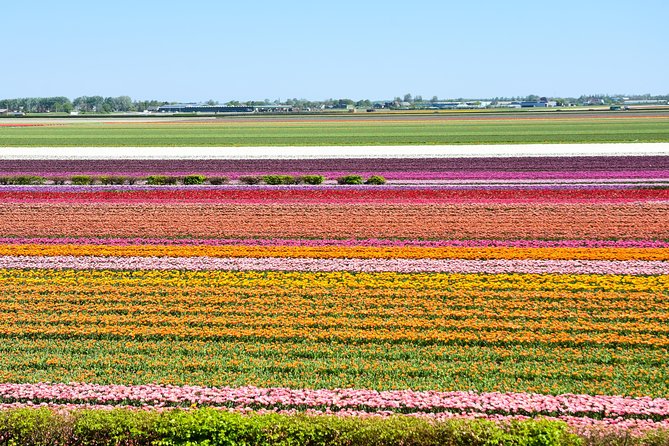 Keukenhof, Flower Fields, Volendam and Zaanse Schans Small-Group Tour - Common questions