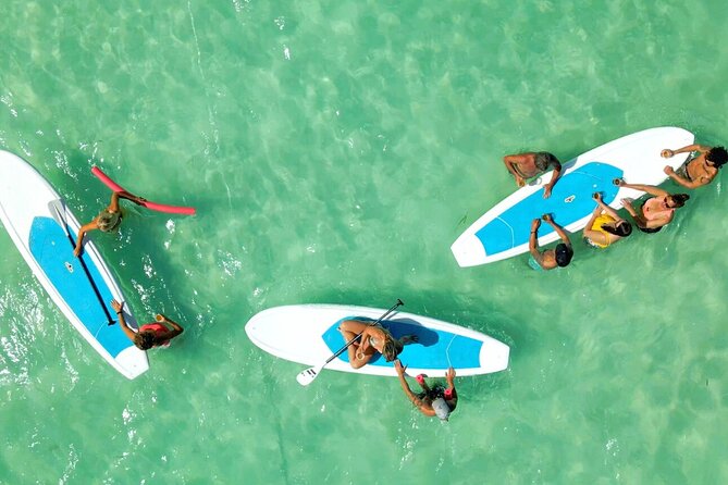 Key West Mangrove Kayak Eco Tour and Ultimate Sandbar Adventure - Common questions