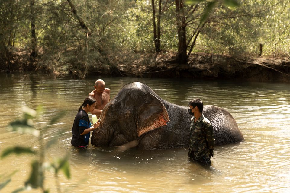 Khao Lak: Elephant Safari With Lunch - Common questions