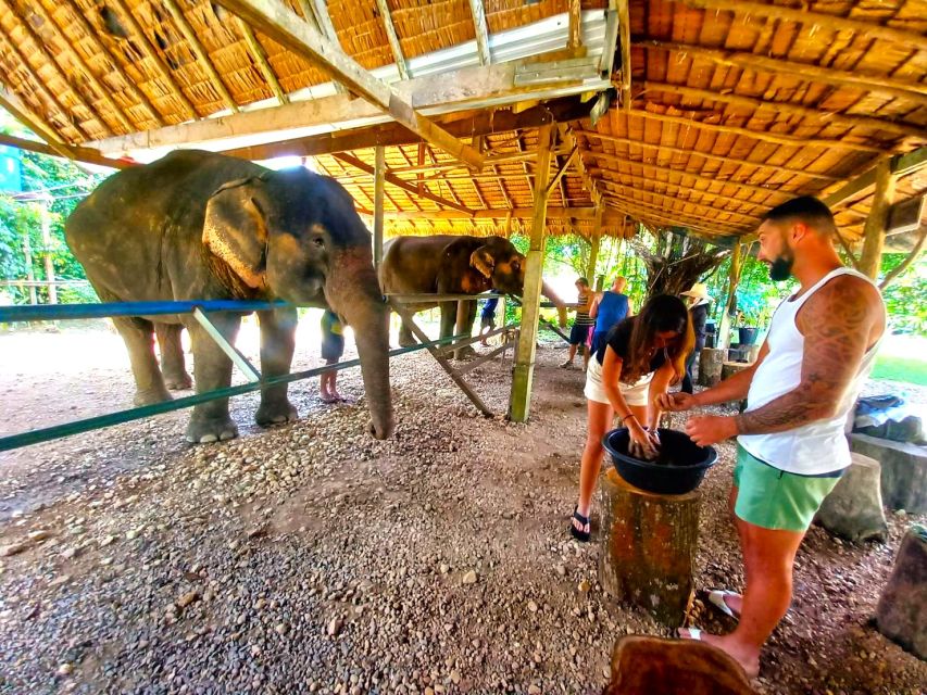 Khao Lak: Khao Sok Private Elephant Daycare & Bamboo Rafting - Safety and Health Guidelines