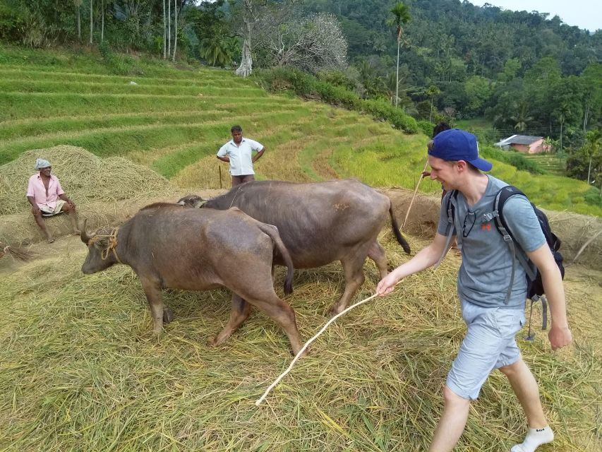 Knuckles Spice Trail Trek From Kandy - Experience the Scenic Trail Trek