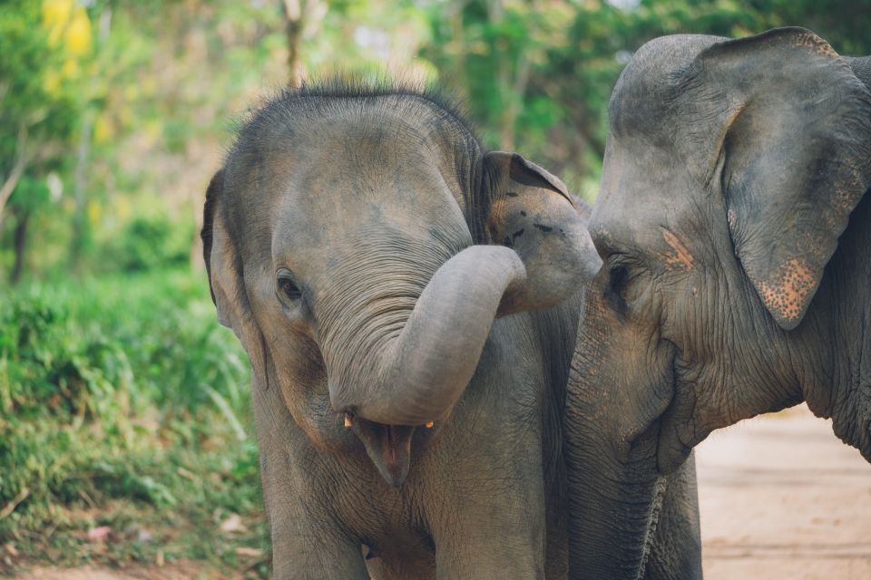 Koh Samui: Elephant Kingdom Sanctuary Half-Day Tour - Directions