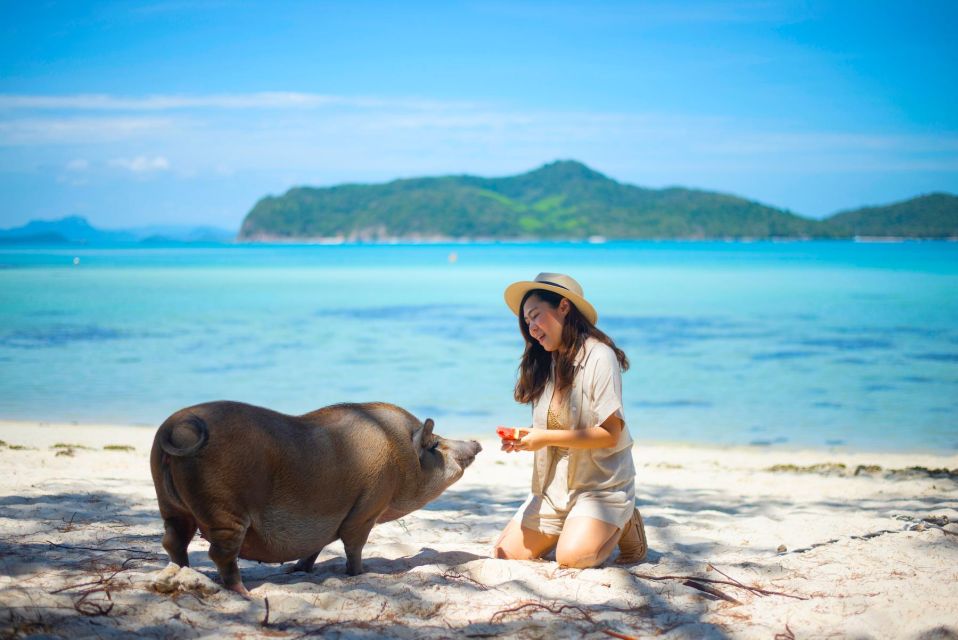 Koh Samui: Private Longtail Tour to Koh Mat Sum (Pig Island) - Last Words