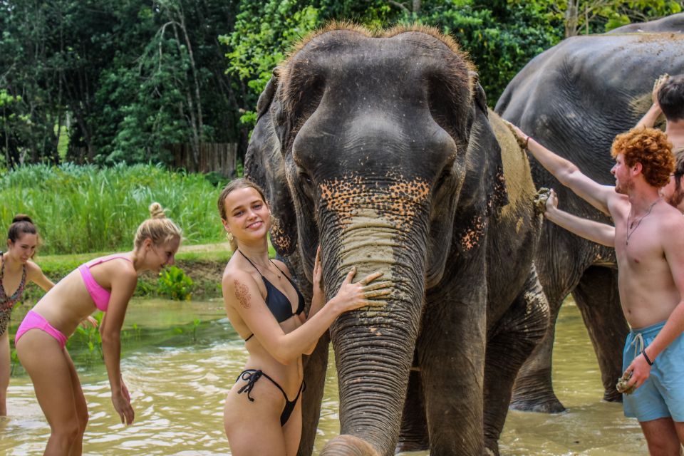 Krabi: Ao Nang Elephant Sanctuary Half-Day Tour - Common questions