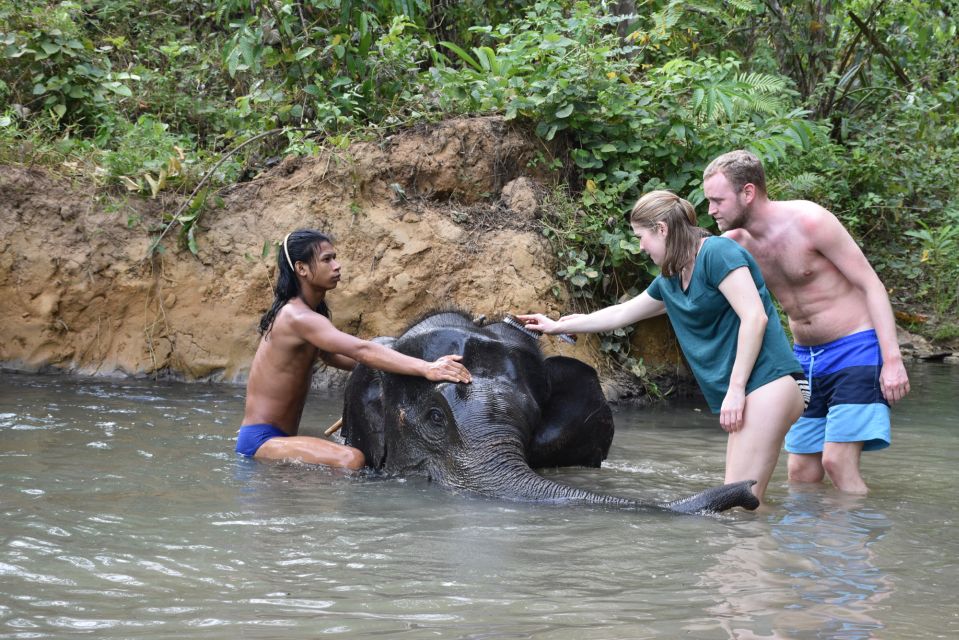 Krabi: Elephant Care House & 7-Level Huay Tho Waterfall Trip - Common questions