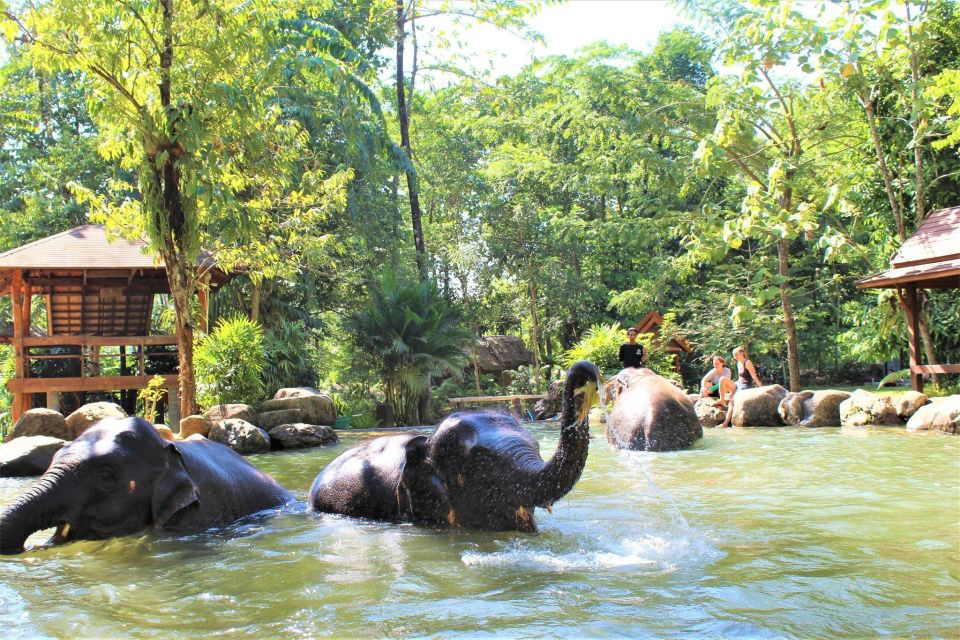 Krabi: Ethical Elephant Sanctuary Experience - Common questions