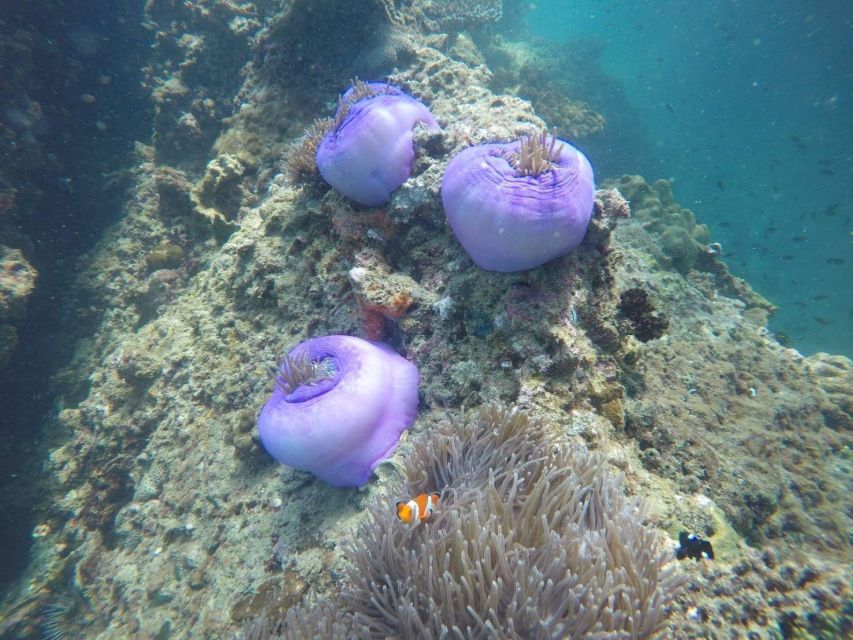 Krabi: Freediving and Snorkeling at Yawasam and Talu Island - Last Words