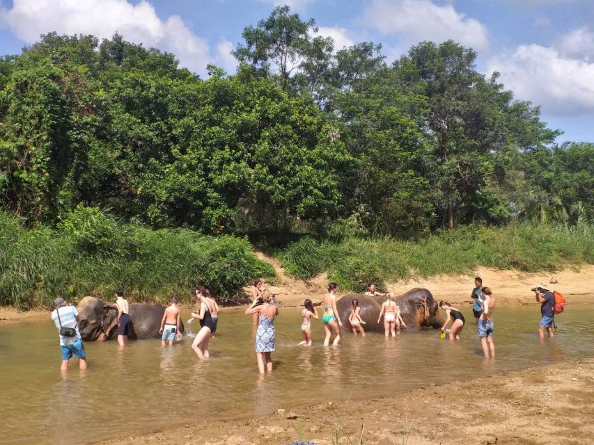 Krabi: Tour of Elephant Care House and Tiger Cave Temple - Last Words