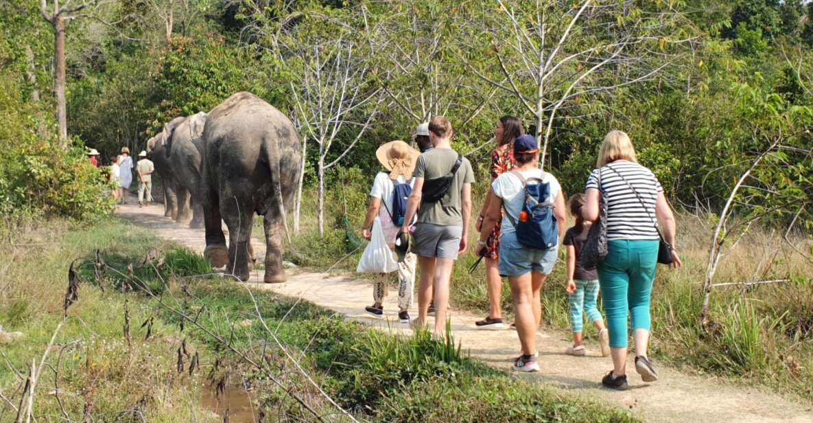 Kulen Elephant Forest & 1000 Lingas River Bed - Additional Information