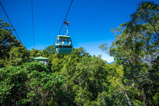 Kuranda By Train, Boat & Skyrail  - Cairns & the Tropical North - Common questions
