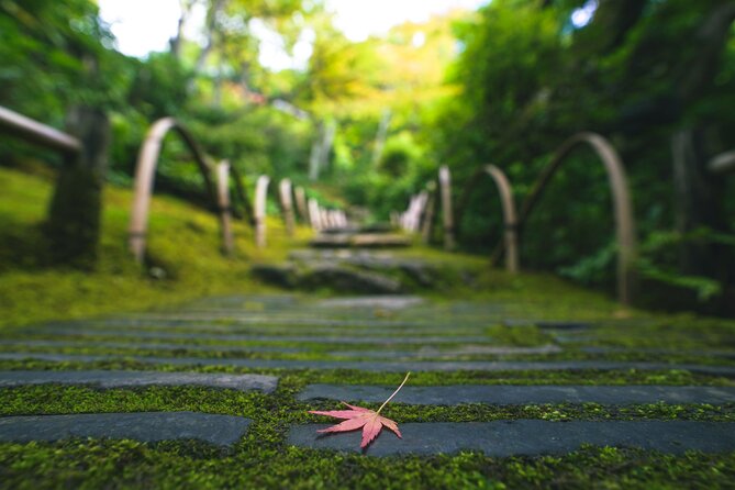 Kyoto Arashiyama Bamboo Forest & Garden Half-Day Walking Tour - Last Words