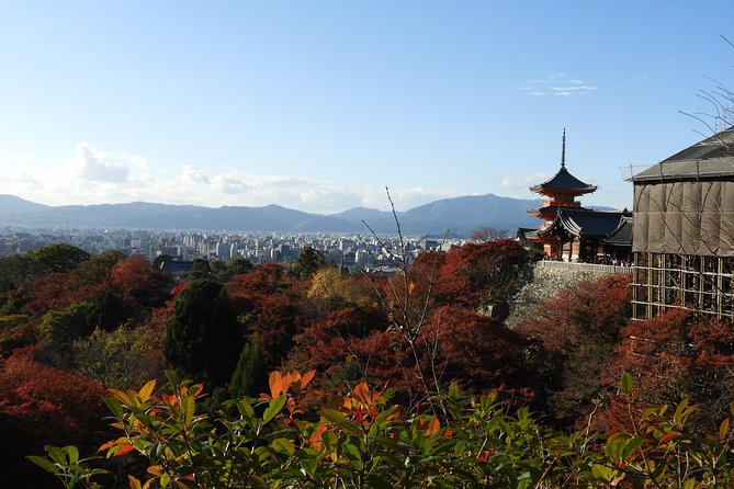 Kyoto Full Day (8 Hours) Sightseeing Privatetour - Product Details and Code