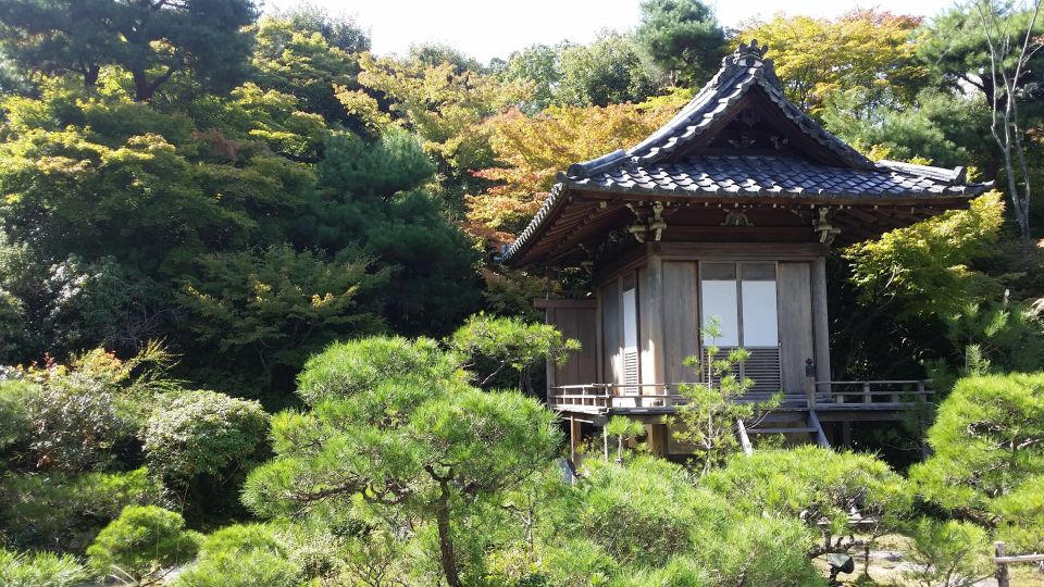 Kyoto/Kobe/Osaka: Arashiyama and Fushimi Inari Private Tour - Last Words