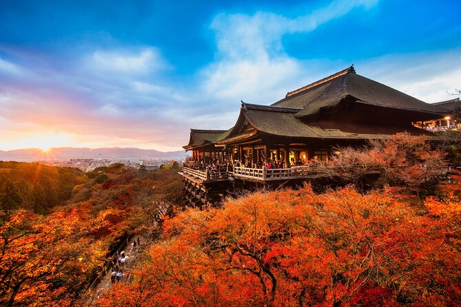 Kyoto Top Highlights Full-Day Trip From Osaka/Kyoto - Customer Reviews and Recommendations