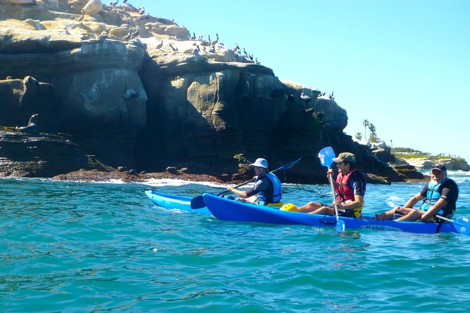 La Jolla Sea Caves Kayak Tour (Single Kayak) - Common questions