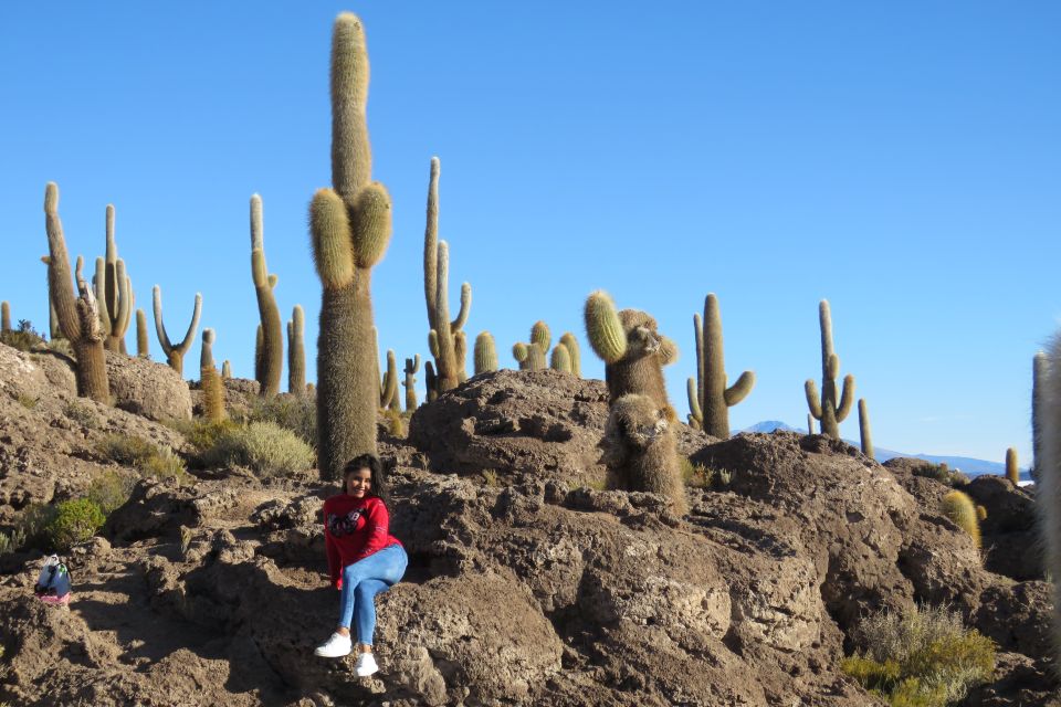 La Paz: 4-Day Uyuni & Colored Lagoons With Flight and Hotel - Activity Logistics and Guidelines