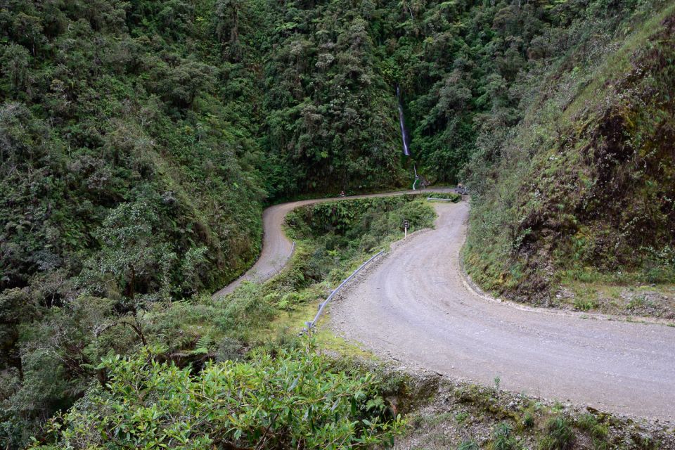 La Paz: Mountain Bike Down the World's Most Dangerous Road - Wildlife Sanctuary Visit