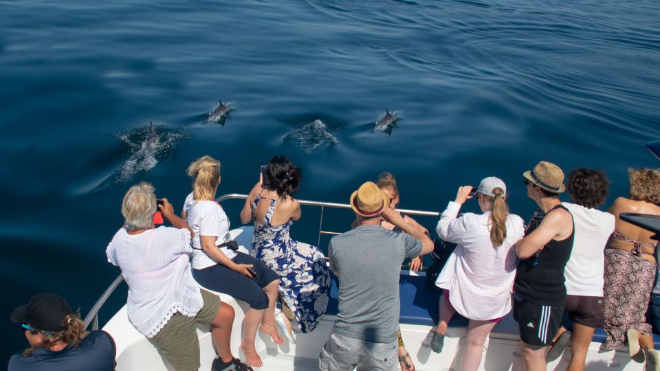 Lagos: Dolphin Watching Half-Day Cruise & Water Activities - Common questions