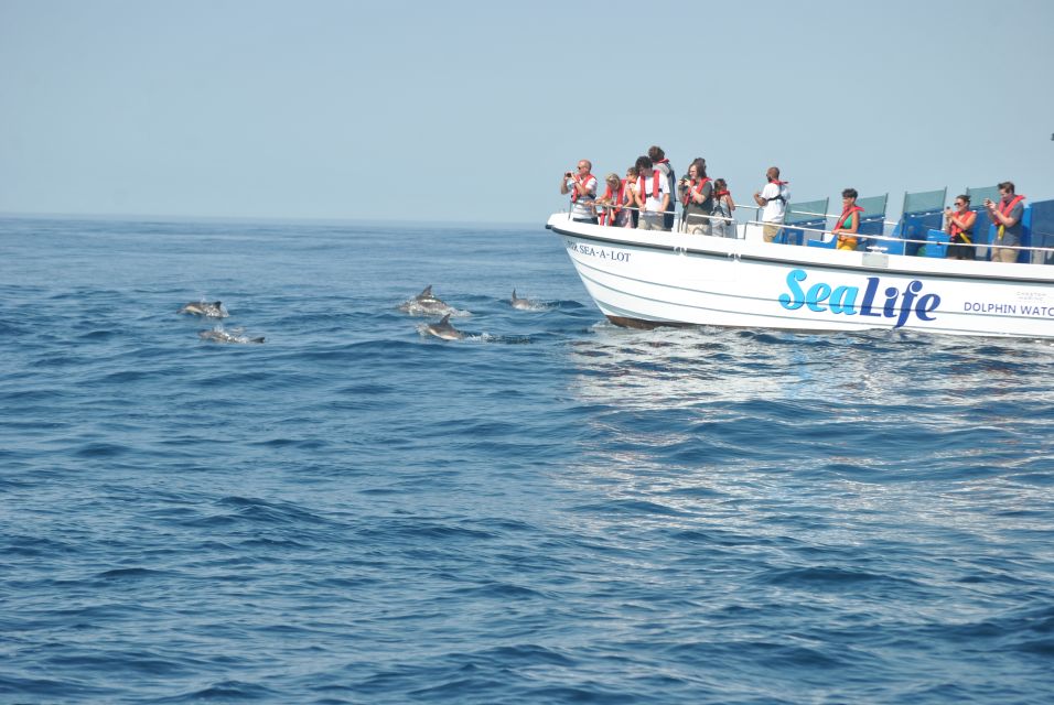 Lagos: Dolphin Watching With Marine Biologists - Itinerary & Main Sites