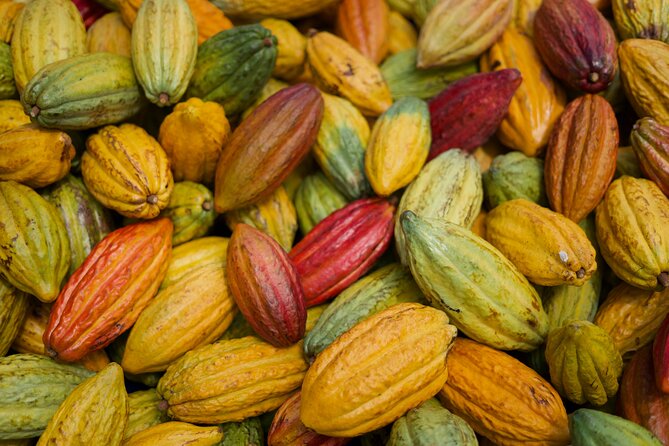 Lahaina: Maui Kuia Estate Guided Cacao Farm Tour and Tasting - Common questions
