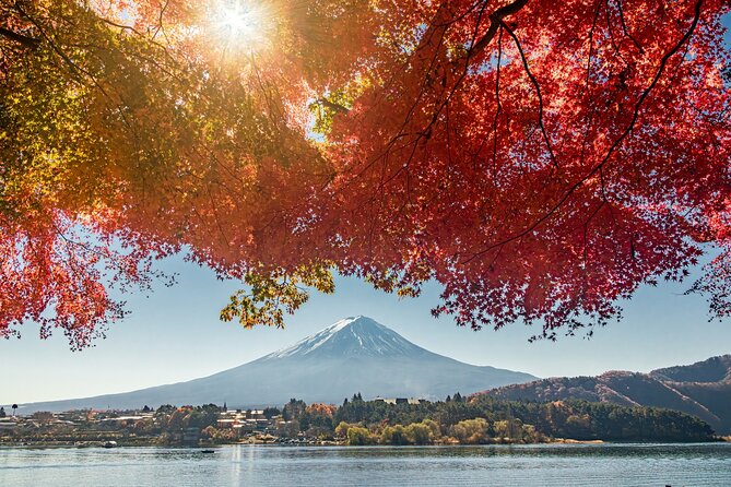 Lake Kawaguchi From Tokyo Bus Ticket Oneway/Roundway - Common questions