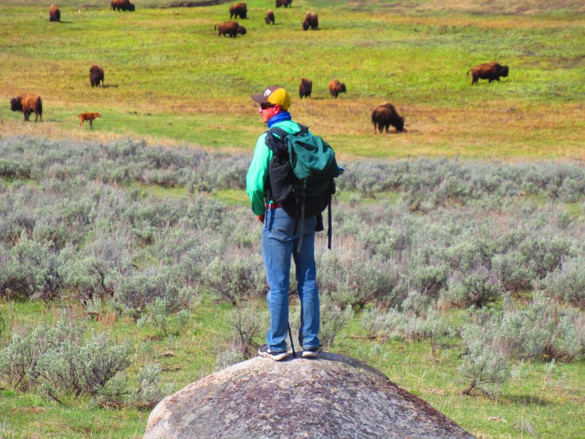 Lamar Valley: Safari Hiking Tour With Lunch - Guest Reviews