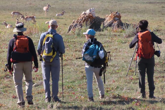 Lamar Valley Safari Hiking Tour With Lunch - Pricing and Support