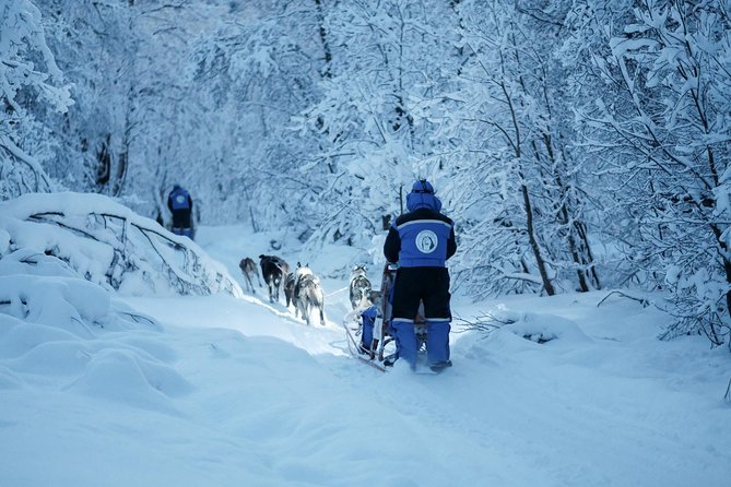 Lapland Husky Sled Safari From Tromso - Directions