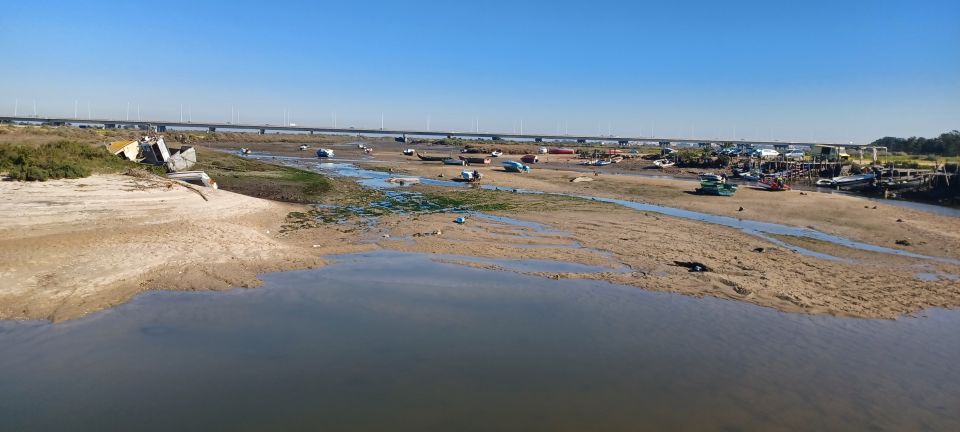 Lisbon: Tagus Estuary Nature Reserve Birdwatching Boat Tour - Common questions