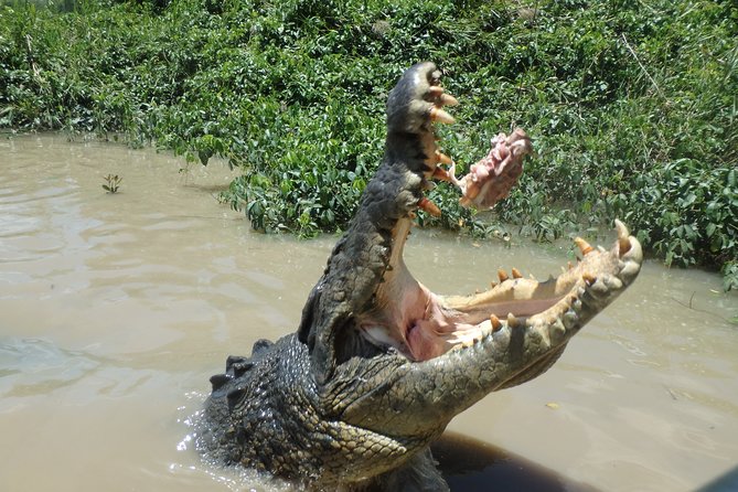 Litchfield and Jumping Crocodiles Full Day Trip From Darwin - Departure and Return Information