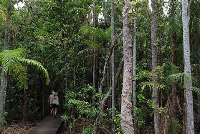 Litchfield National Park and Jumping Crocodile Cruise - Aussie Adventure and Final Thoughts