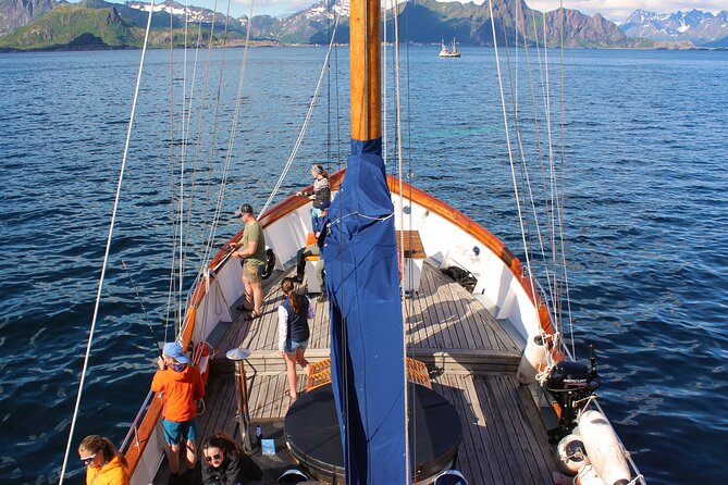 Lofoten Islands Luxury Fishing Trip With Dinner From Svolvær - Common questions