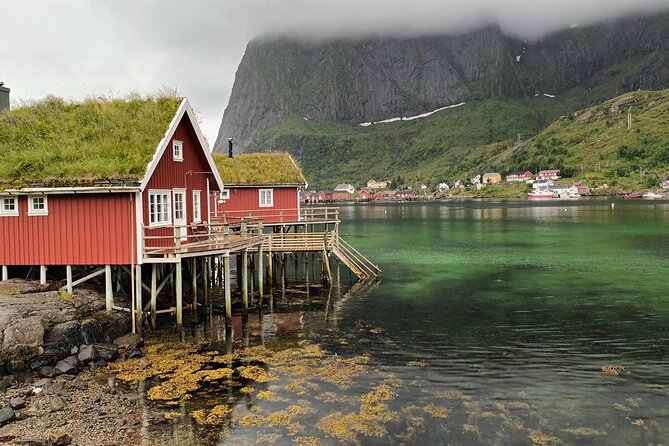 Lofoten PRIVATE Tour From Leknes - Small Group (1-4 Pax) - Common questions