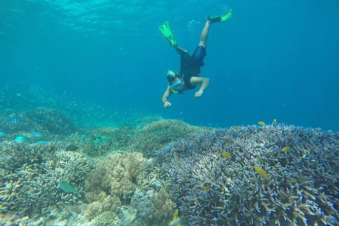 Lombok Small-Group Full-Day Gili Islands Snorkel Tour (Mar ) - Last Words