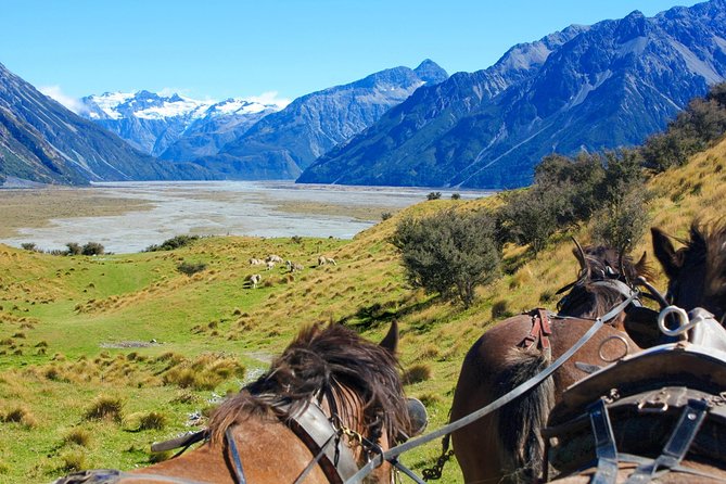 Lord of the Rings High Country Station Pioneering Experience & Scenic Day Tour - Common questions