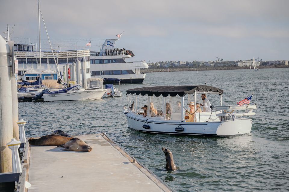 Los Angeles: Luxury Cruise With Wine, Cheese & Sea Lions - Last Words