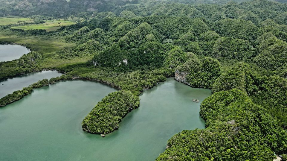 Los Haitises: Boat Excursion and Walking Tour With Lunch - Walking Tour Highlights