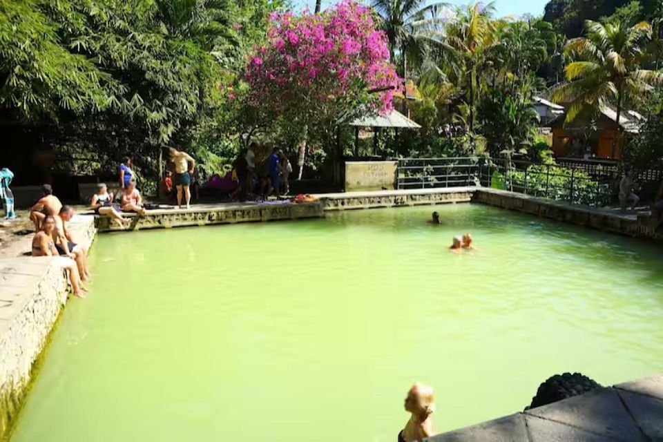 Lovina : Natural Holy Hot Spring & Sunrise Dolphins Tour - Itineraries