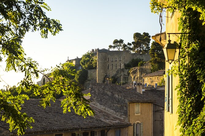 Luberon Highlights Tour With Small Group From Avignon - Contact and Additional Information