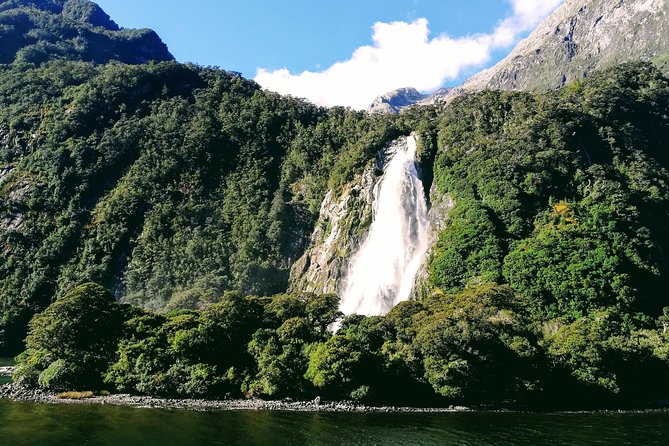 Luxury Milford Sound Coach and Scenic Cruise - Booking and Cancellation Policy