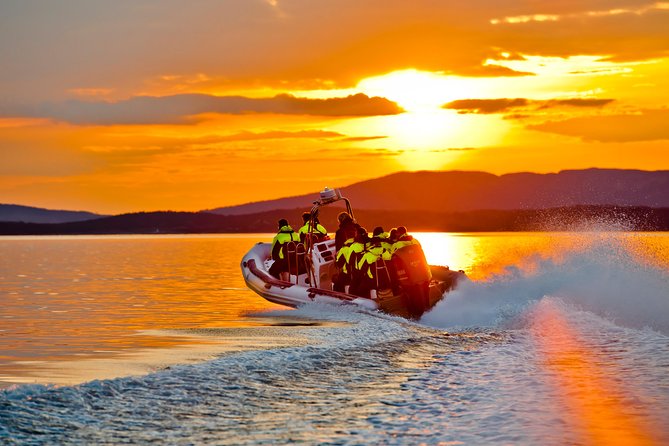 Lysefjord RIB Safari From Stavenger - Common questions