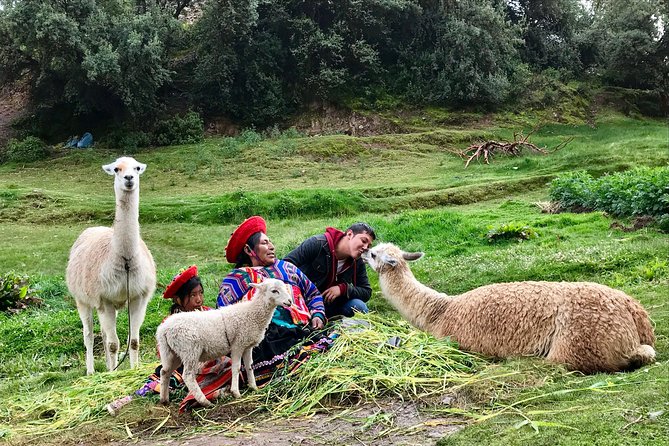 Machu Picchu Full Day From Cusco - Communication Issues